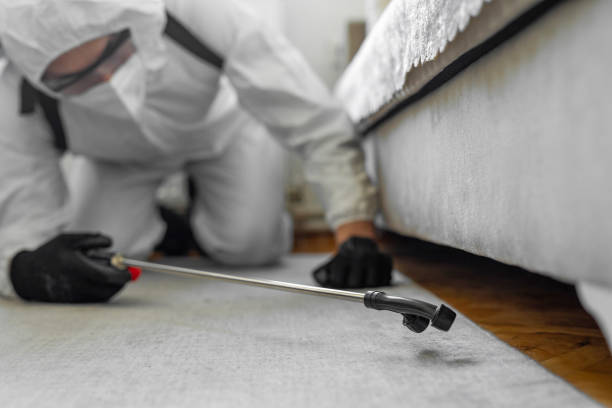 Professional Bed Bug Control technician working in Jeffersonville, KY