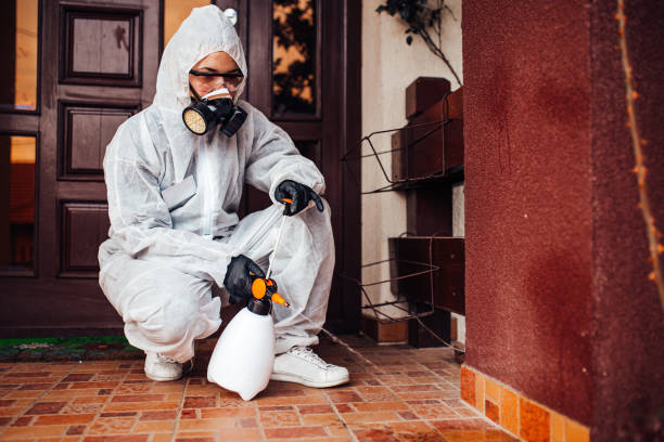 Reliable Bed Bug Control contractor in Jeffersonville, KY by Nex Pest Control