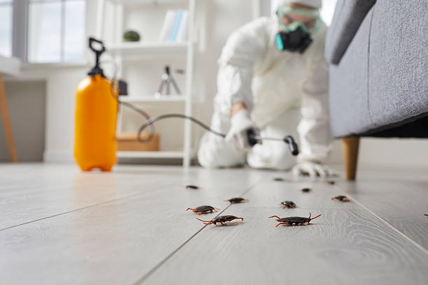 Trusted Cockroach Control service in Jeffersonville, KY - Nex Pest Control